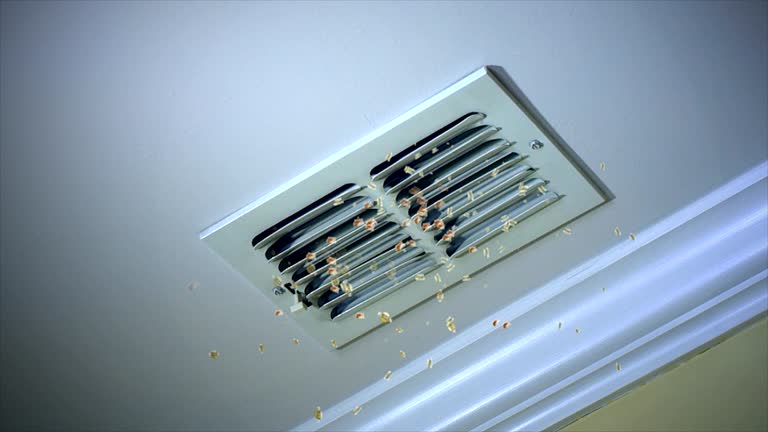 Best Air Duct Cleaning Near Me  in Mason, MI