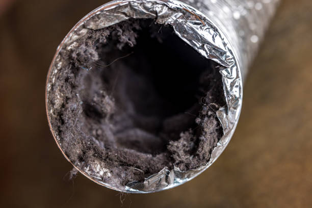 Best HVAC Maintenance and Cleaning  in Mason, MI
