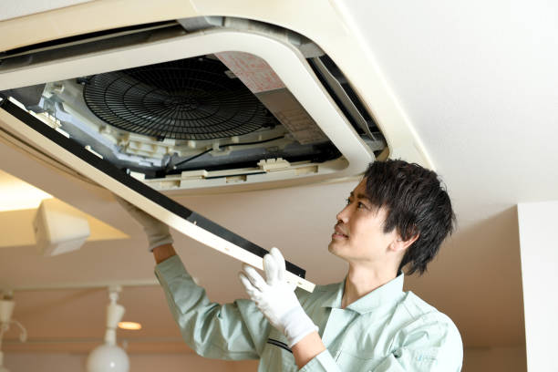 Best Affordable Duct Cleaning Services  in Mason, MI